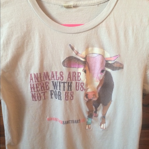 Short sleeve tee - Picture 6 of 7